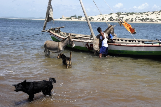 Talk your way onto a dhow and your raw sailing adventure will begin