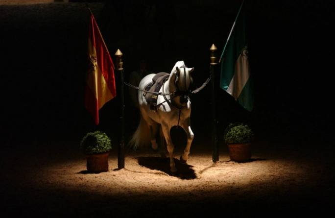 Marvel at the choreography of the authentic horse ballet at the Royal Andalusian School of Equestrian Art