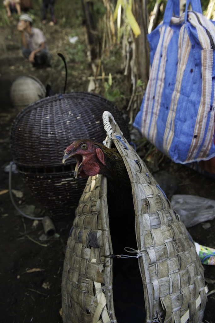Here the guides cook breakfast every morning for their guests
