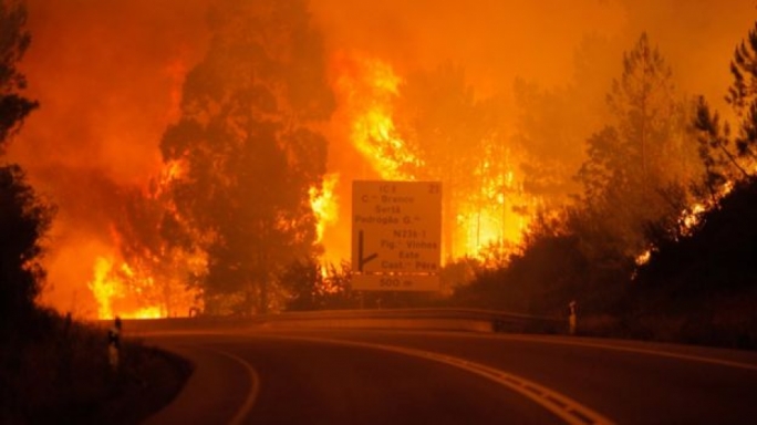 Death toll from wildfire in Portugal rises to 63 Death toll from wildfire in Portugal rises to 63