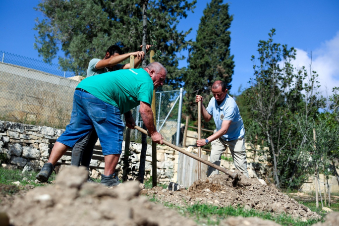 Climate Action Authority plants trees on anniversary since its inception