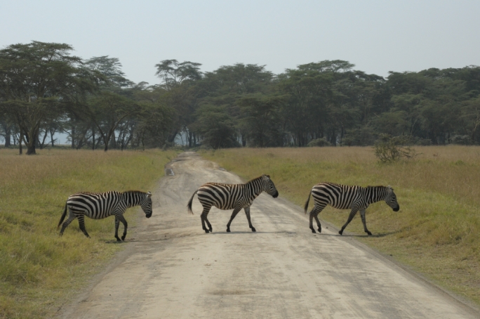 Take a couple of snaps and head off for the final leg of the journey, to the reserve itself