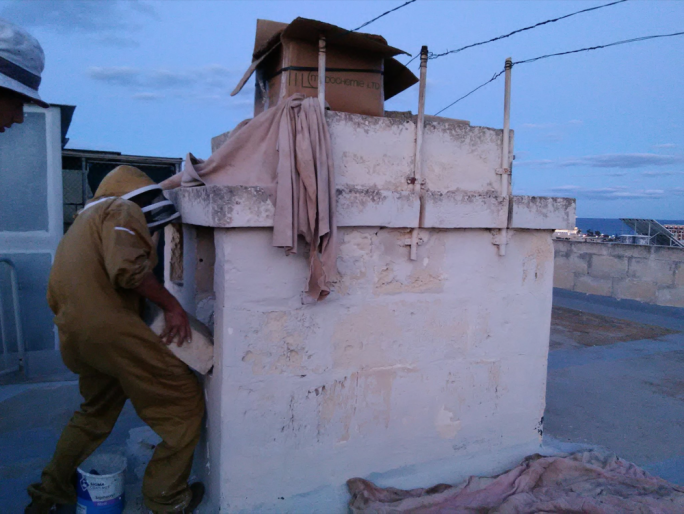 Beesaversmalta removing hives from urban areas