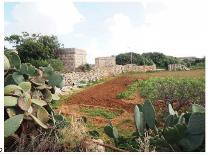 Dingli farmland lost to sports track to ‘promote health and well-being’