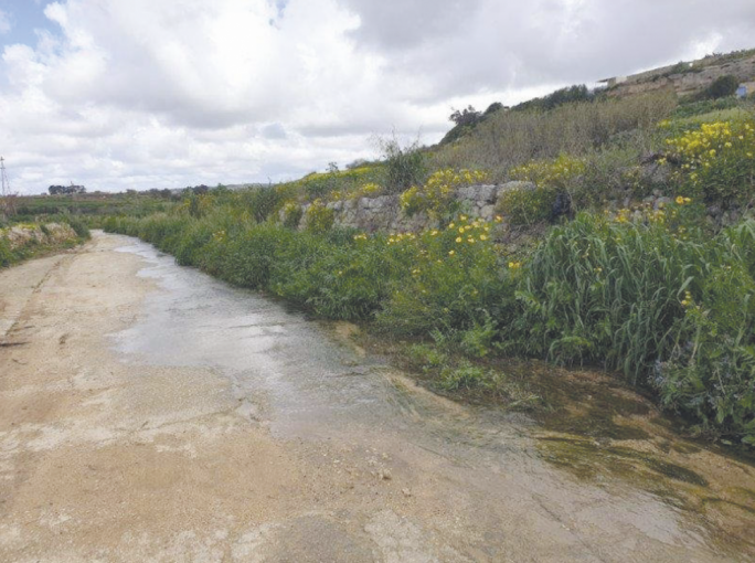 Wied Liemu is an upstream tributary that flows into the Wied il-Fiddien and Wied il-Qlejjgħa valleys