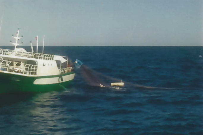 Unabashed thievery: this Tunisian fishing boat is photographed stealing the Maltese and Gozitan kannizzatti with their fishing nets