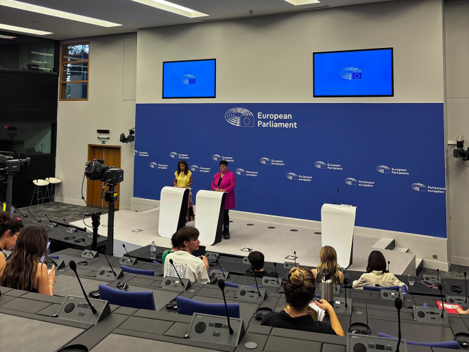 EP Vice President calls for balanced approach to Gaza conflict: ‘Both sides have made mistakes’