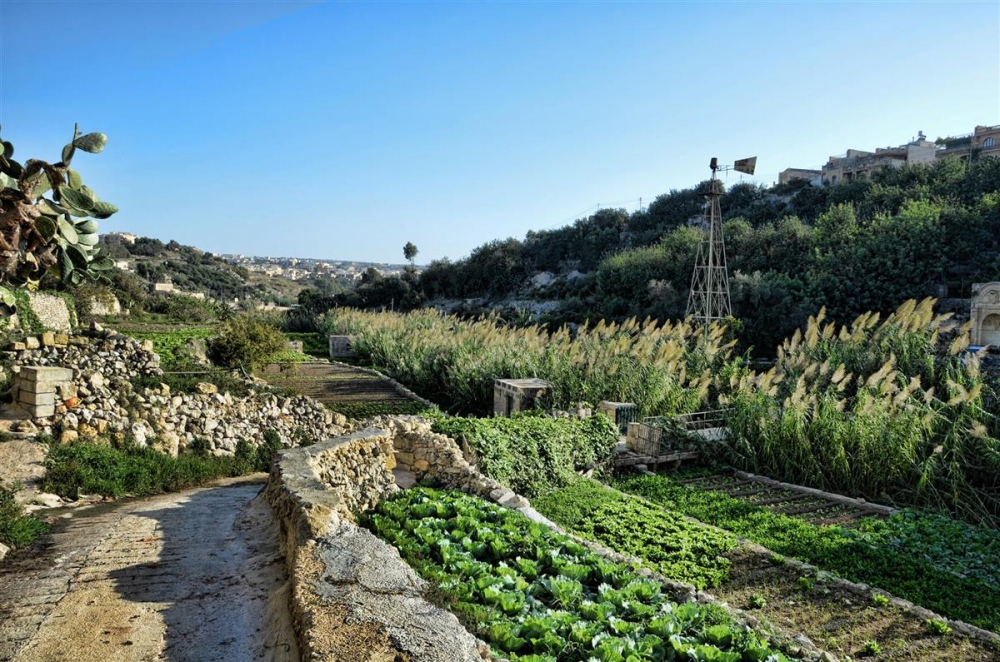 Nitrates high in Malta’s three watercourses