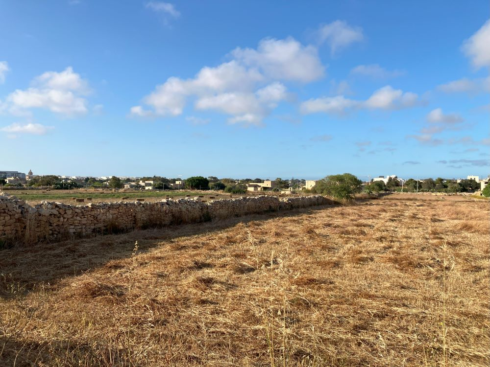 Żurrieq farmers demand withdrawal of consent for development on agricultural land in Tal-Bebbux