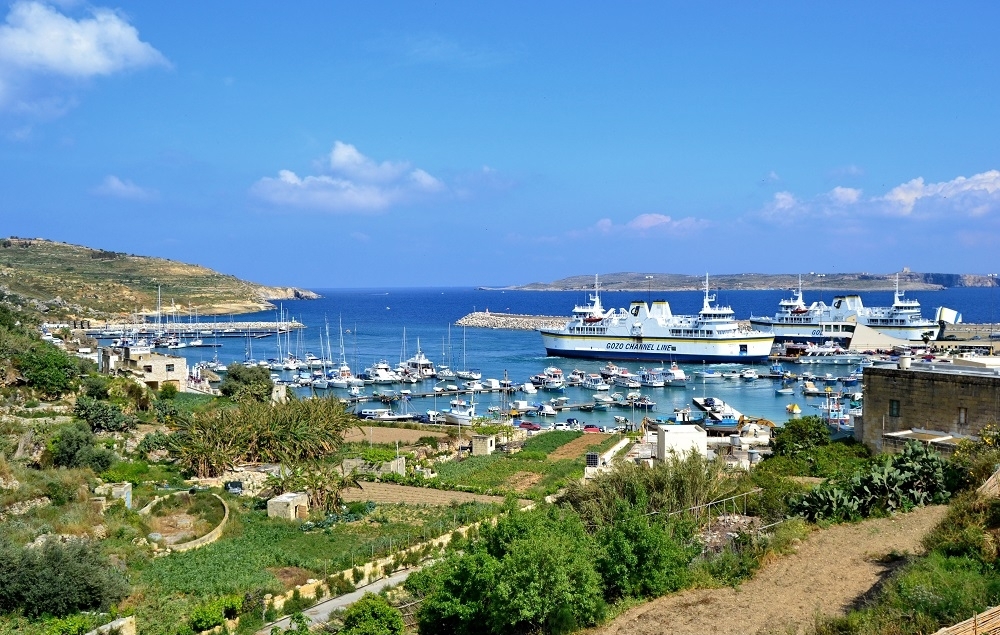 [WATCH] Gozitan mayors take their concerns on destruction of landscapes to President George Vella