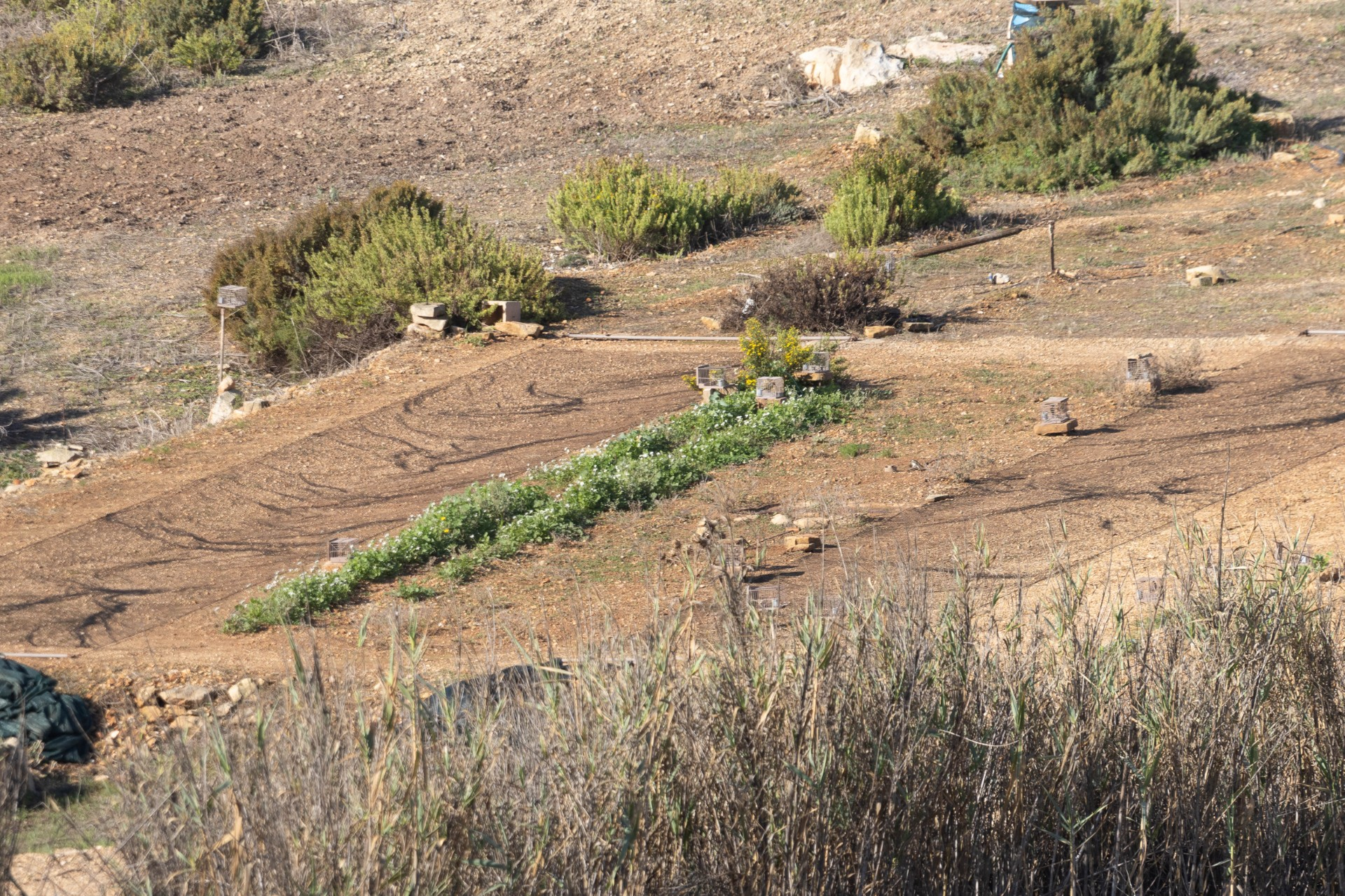 Trapping sites (Photo: BirdLife Malta)
