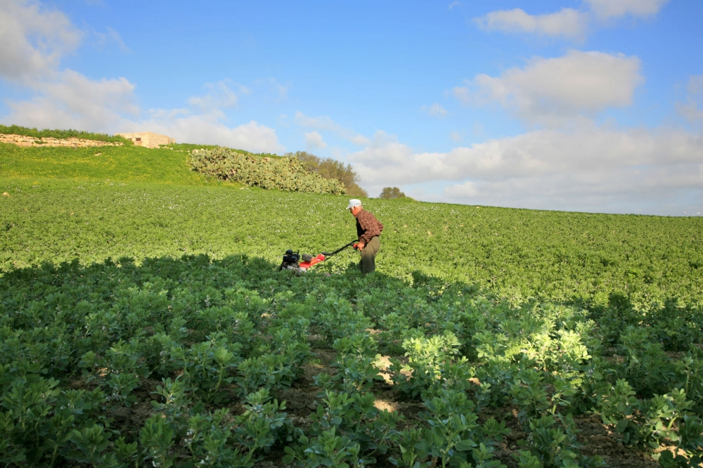 Malta’s misfiring of Organic Food Action Plan