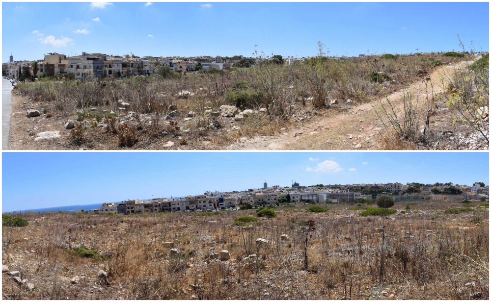 FAA resorting to buying land for the sake of conservation