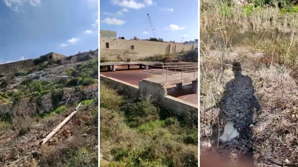 Moviment Graffitti claims sludge from Tuna recycling plant in Birżebbuġa is being dumped in surrounding fields