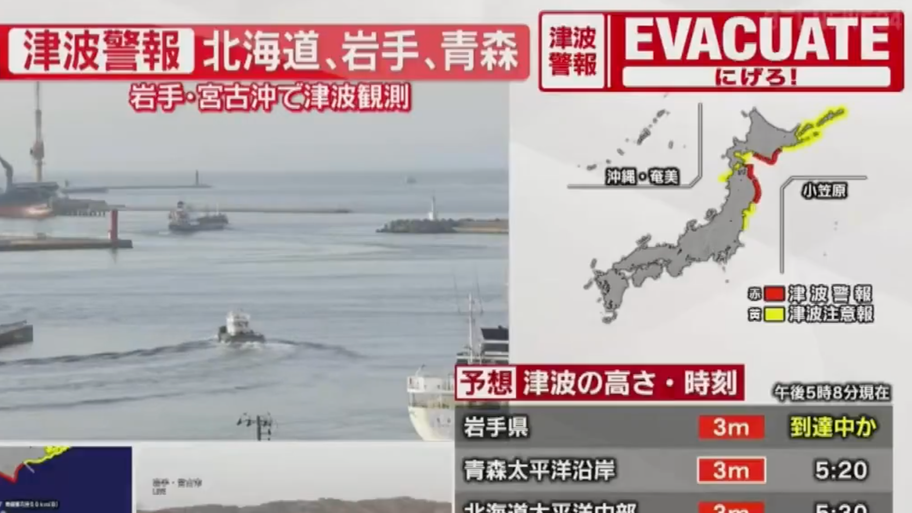 Residents in the regions under the tsunami alert were told to evacuate immediately to higher ground (Photo: X)
