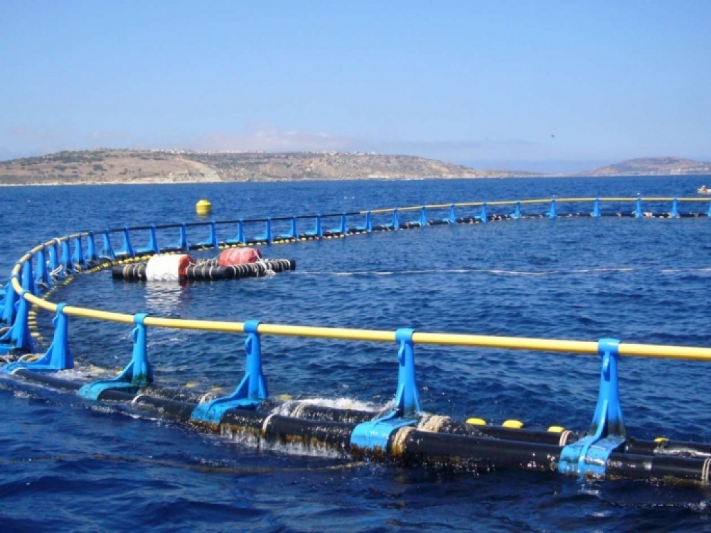 Malta tuna ranchers want transparency register and lobbying rules