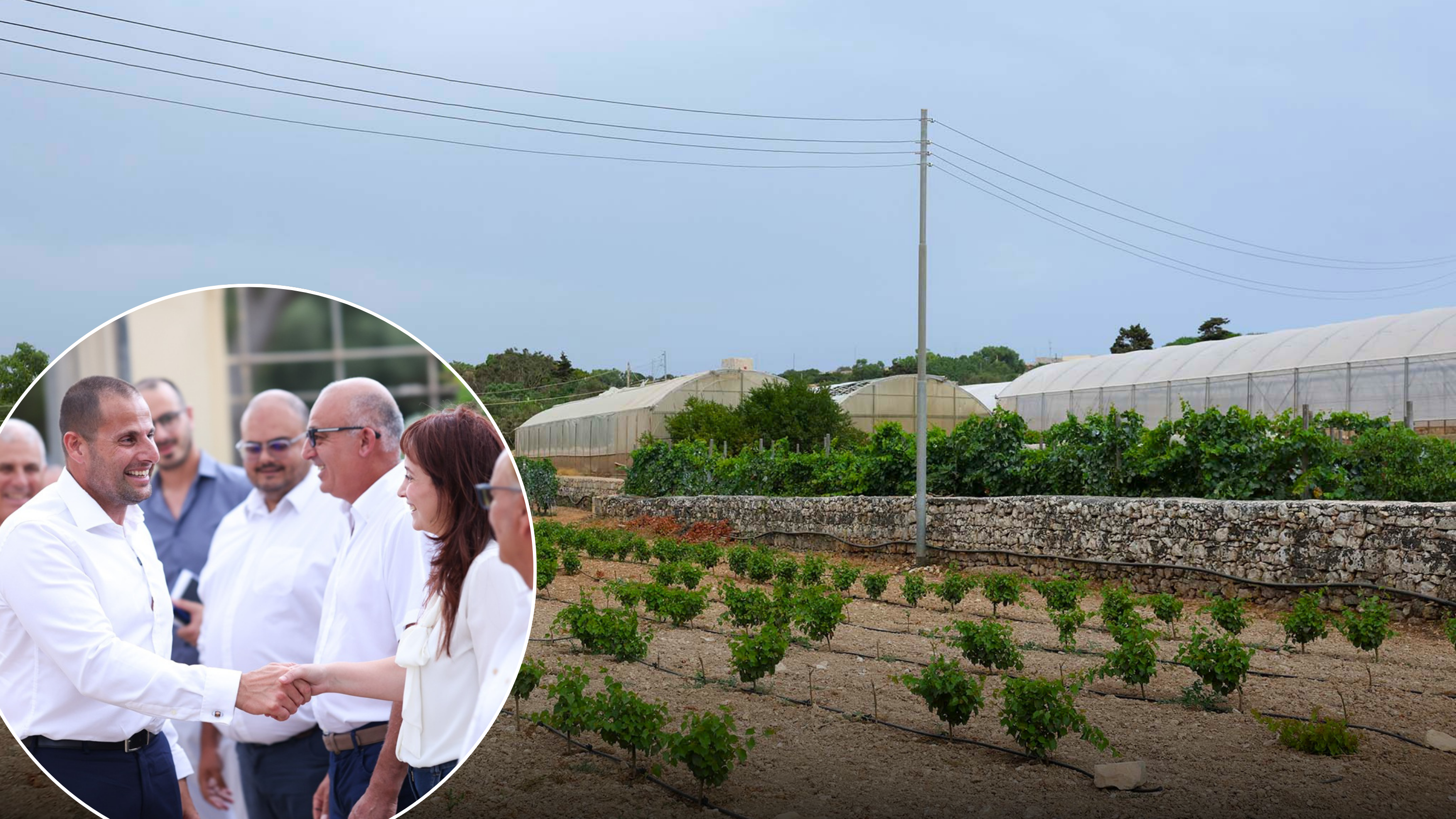 Government to revise farmer classification rules, Ta' Qali Farmers' Market works to start in September