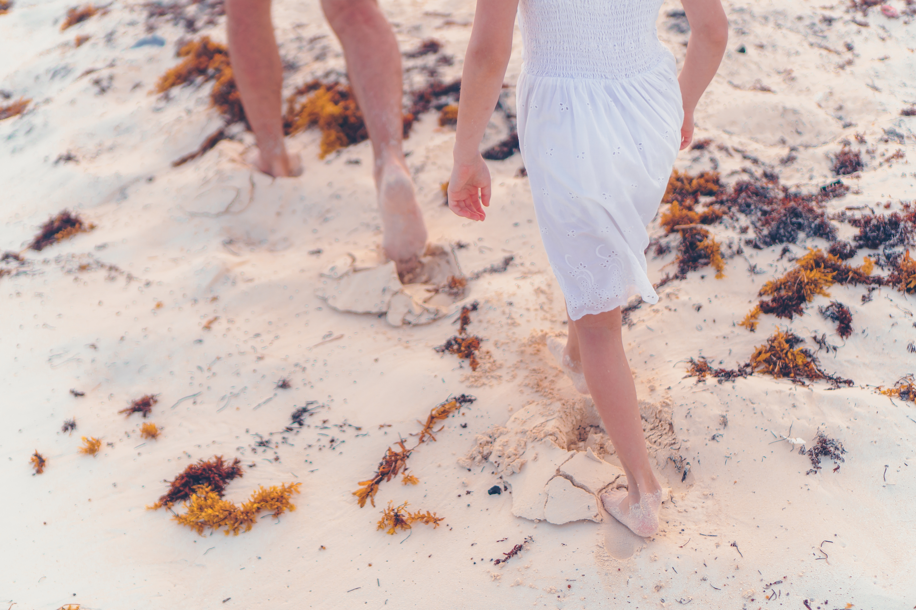 Seagrass wrack on beaches traps harmful plastics