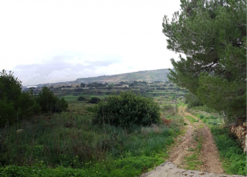 A new application at Mgarr for agritourism is set over a massive area of 142,000 square metres