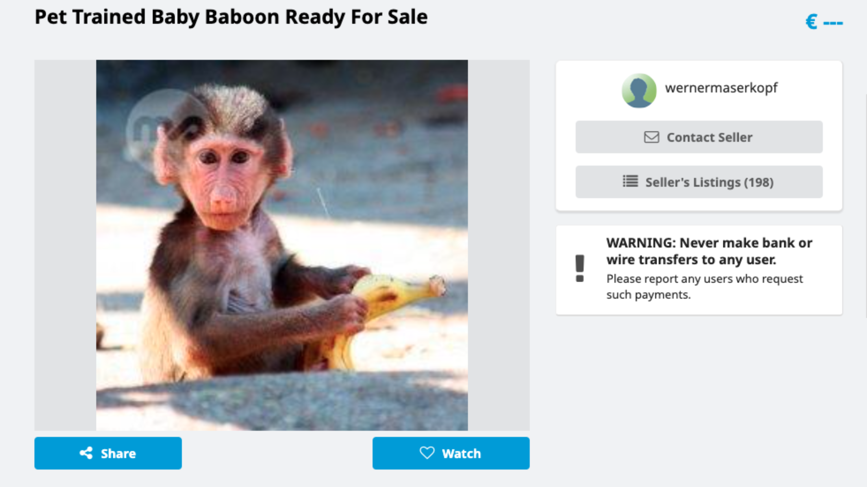 A 'pet trained' baboon for sale