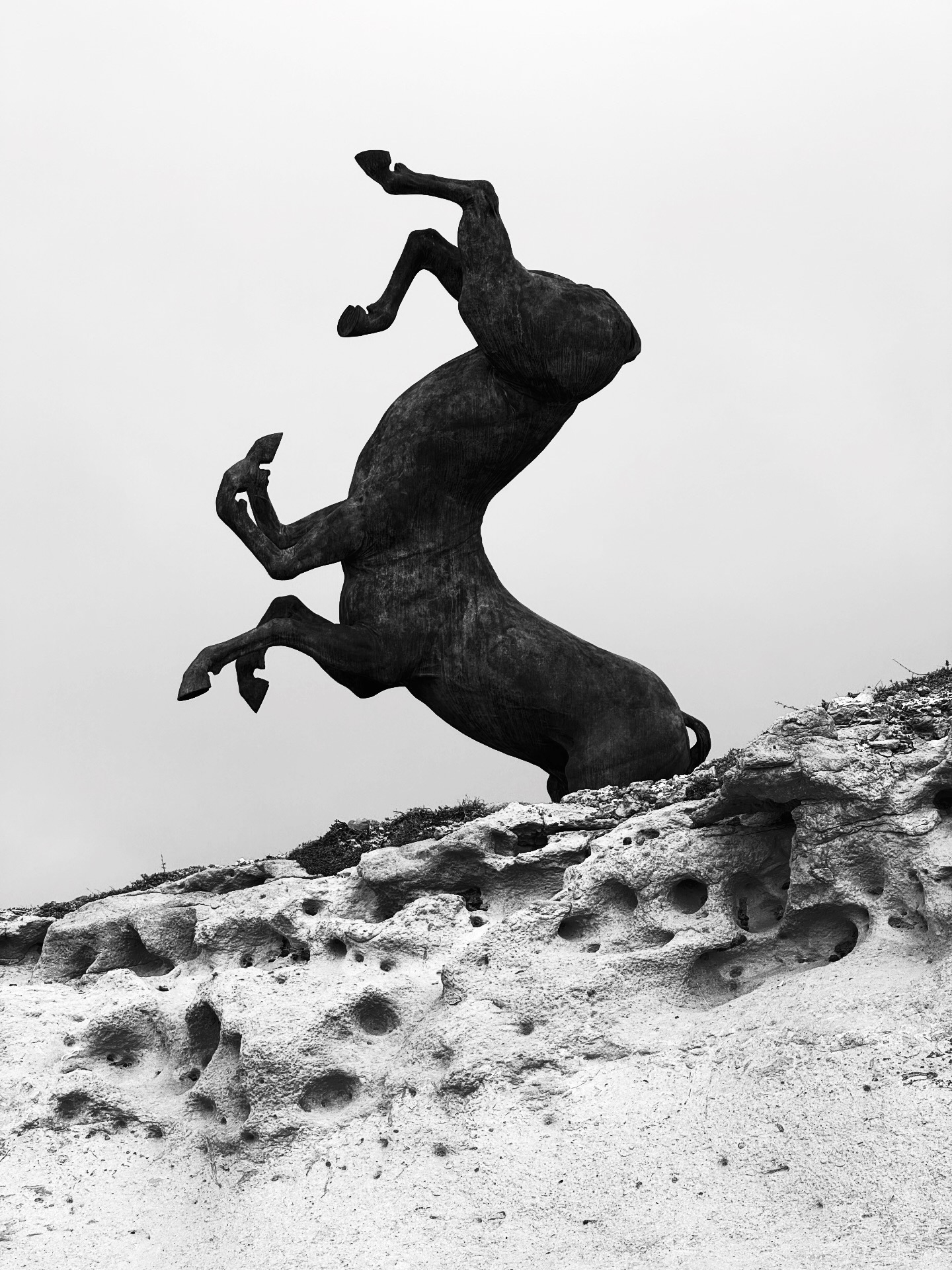 Photo: Sean Mallia