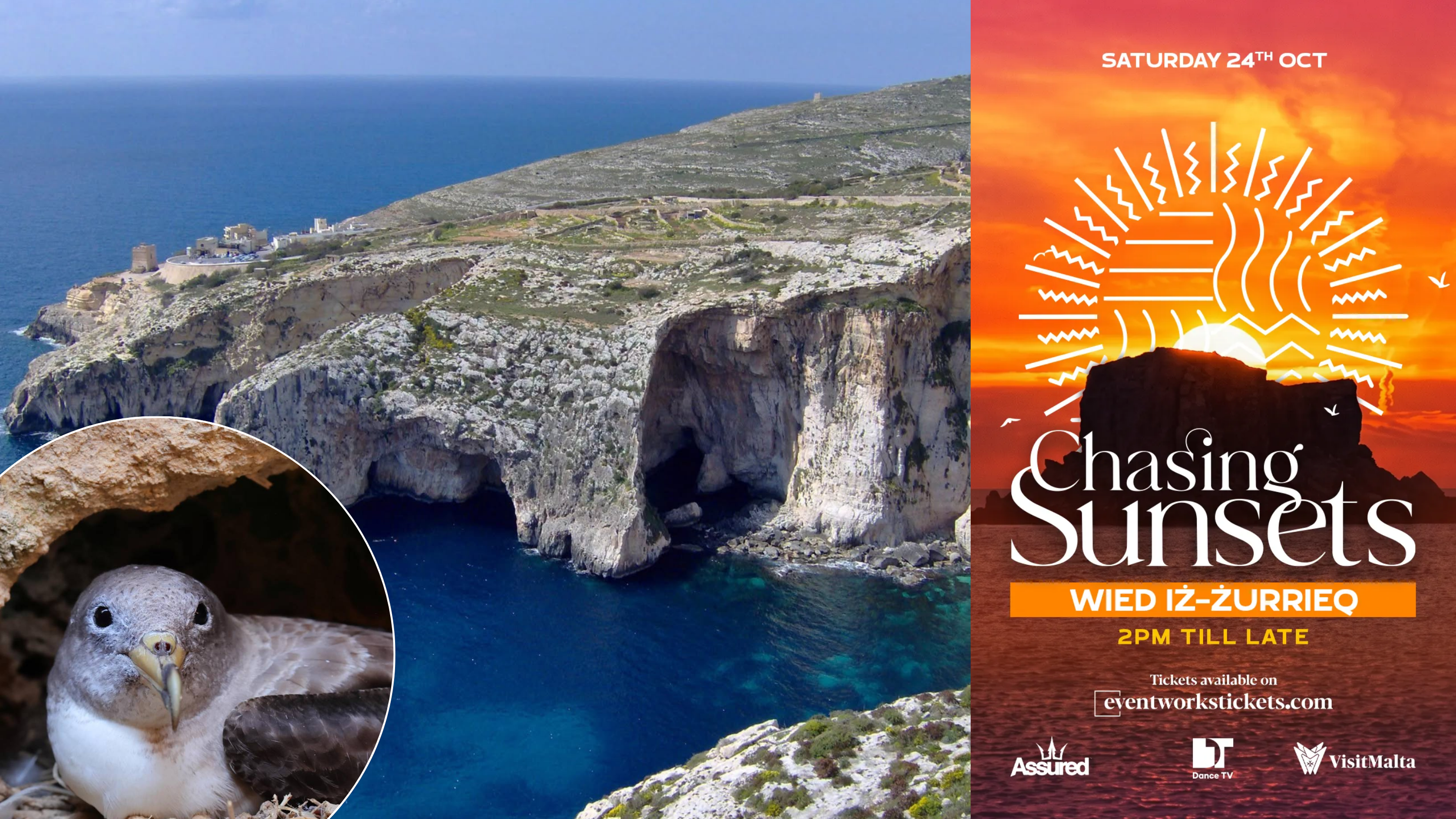 Environment watchdog still reviewing permit for Wied iż-Żurrieq party ...