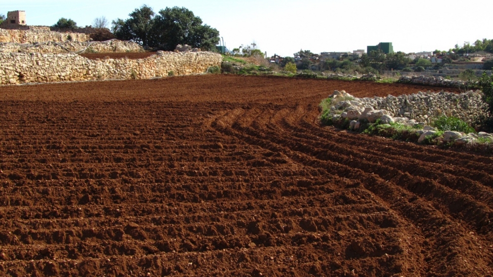 Idle agricultural land can be claimed by the government under new regulations