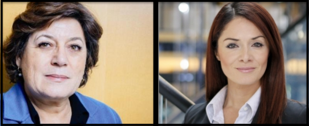 Ana Gomes raises ire of Labour MEP after casting doubt on Maltese judiciary