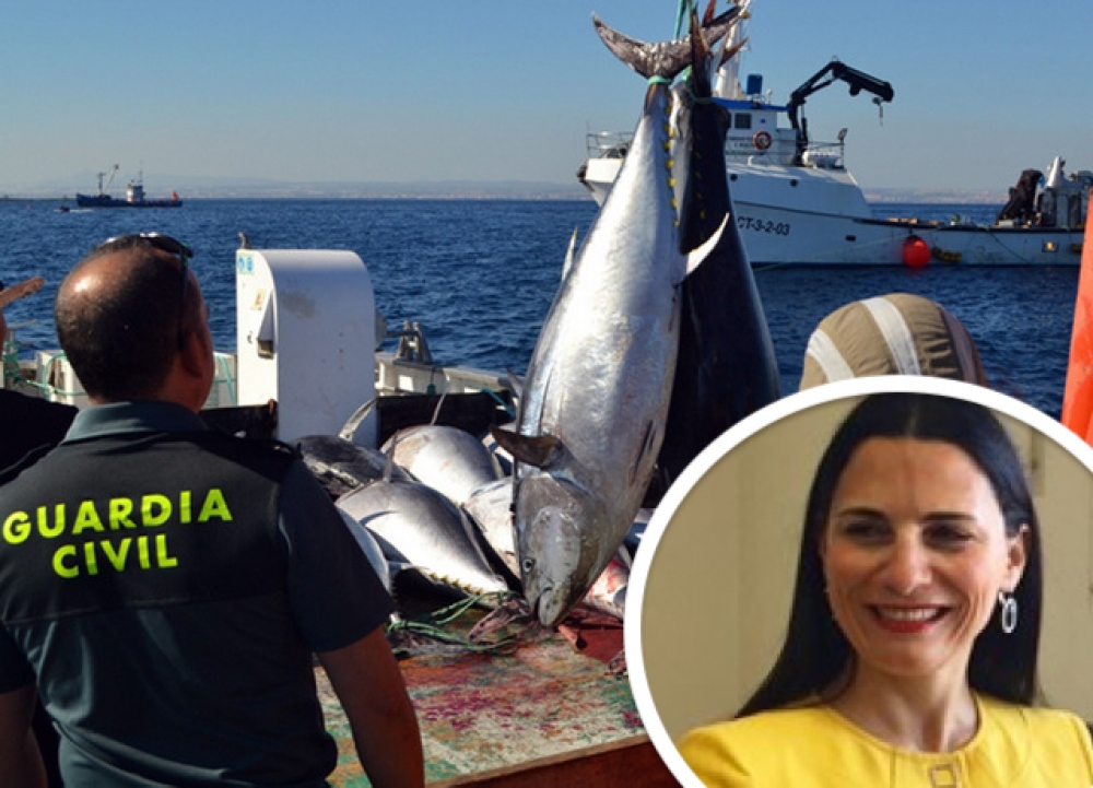 Tuna bribery claims: Suspended fisheries director says requests for payments were 'legitimate'
