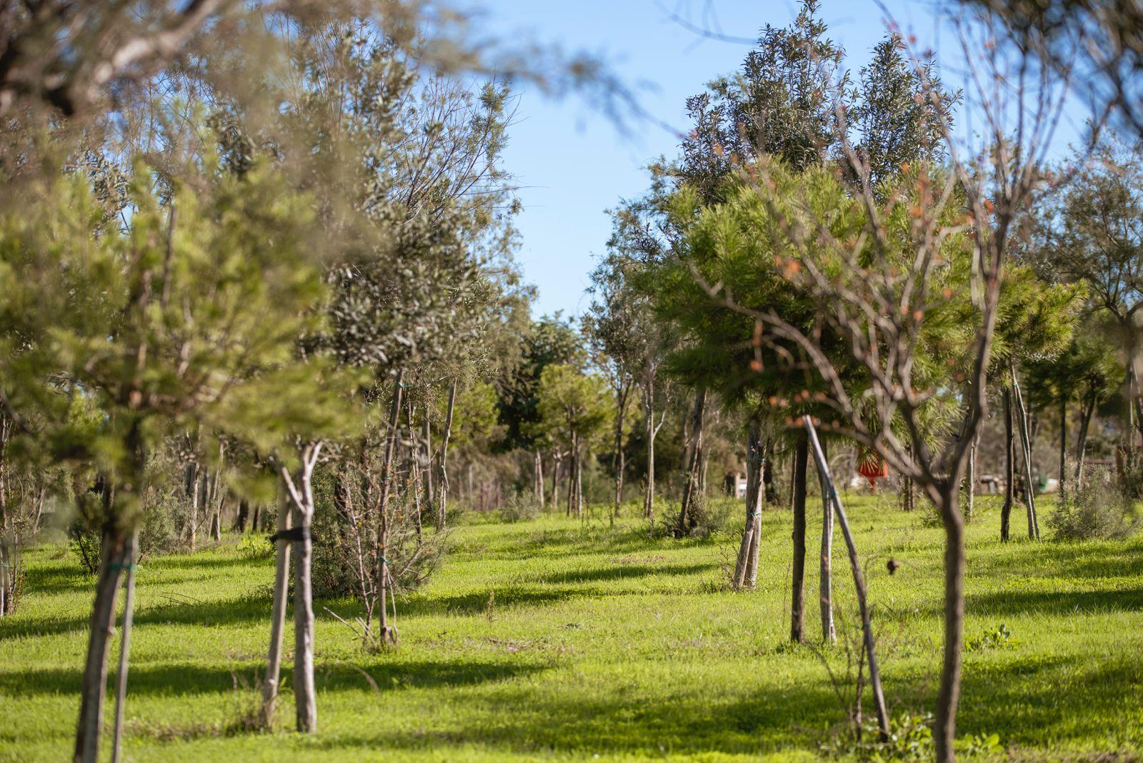Benghajsa family park