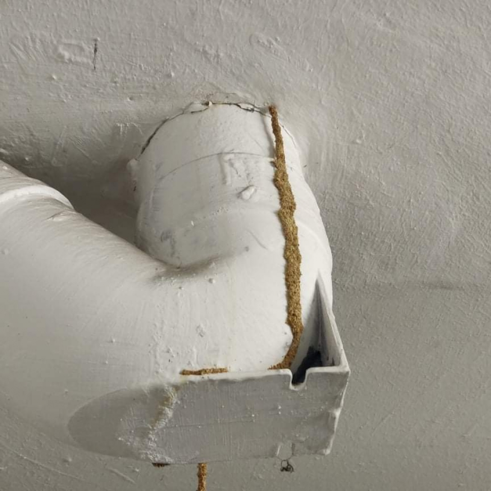 A termite infestation wreaking havoc