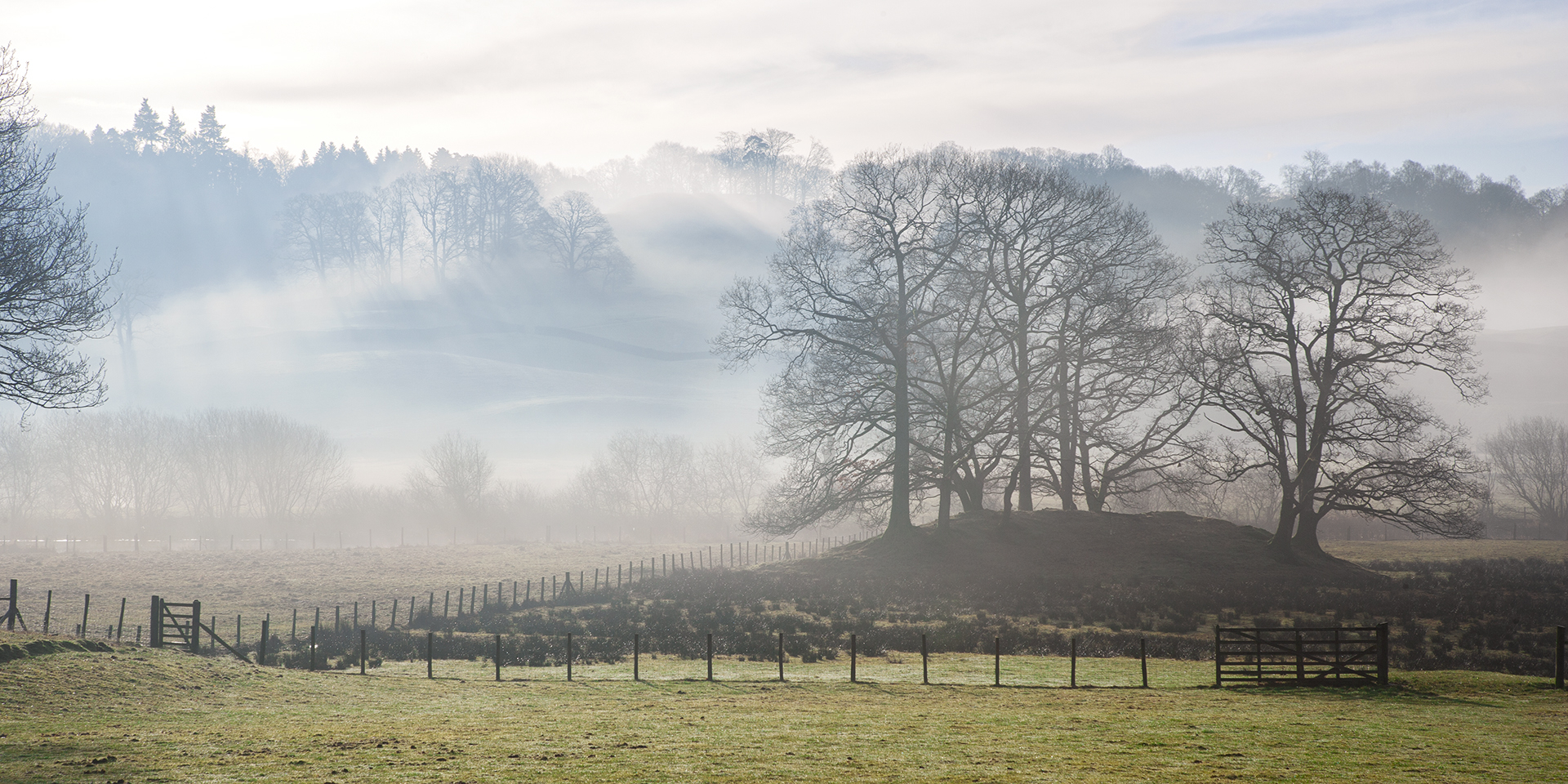 Misty (Photo: Charles Calleja)