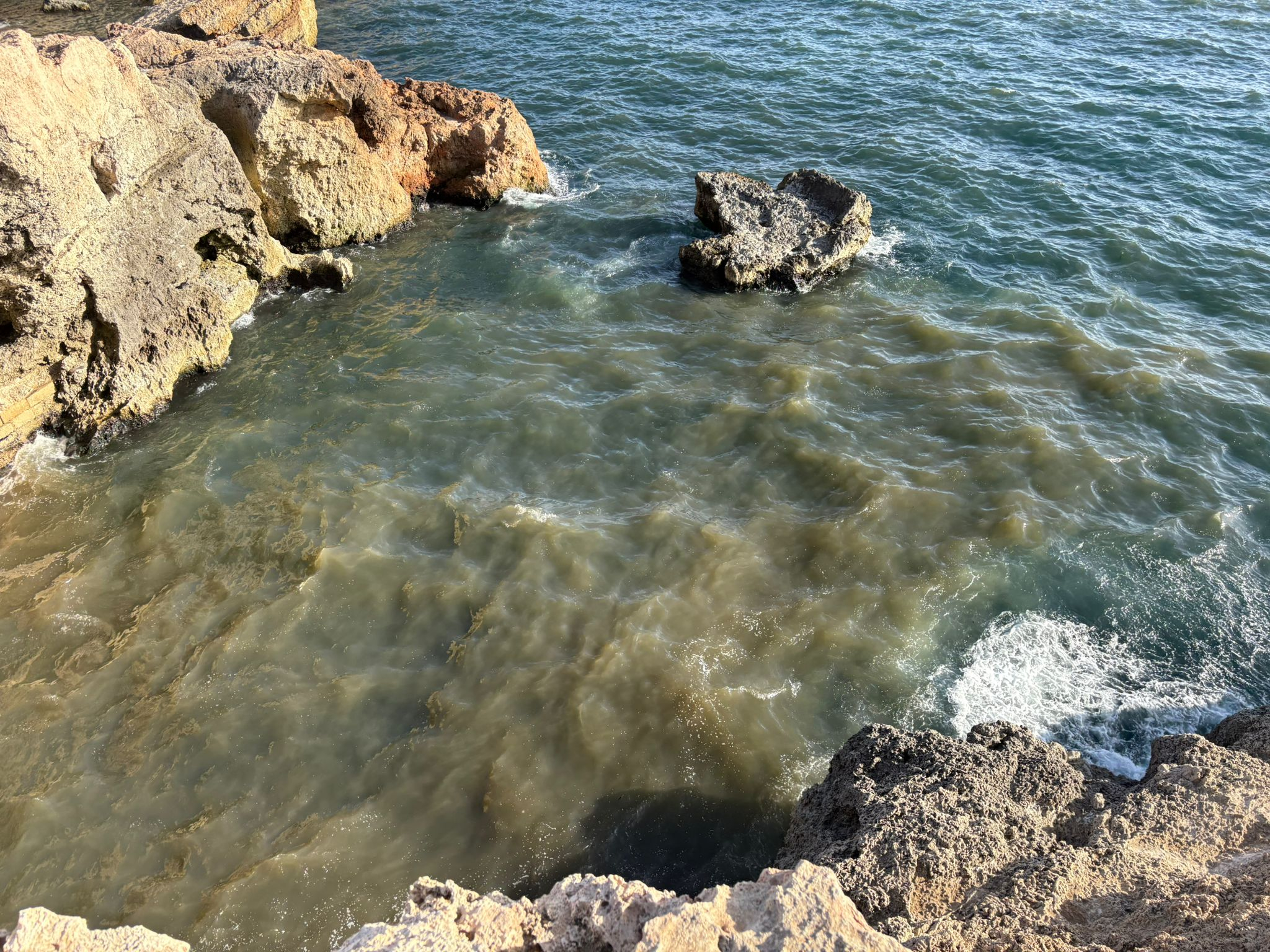 PN says government removed protected status for marine zone after sewage treatment failure