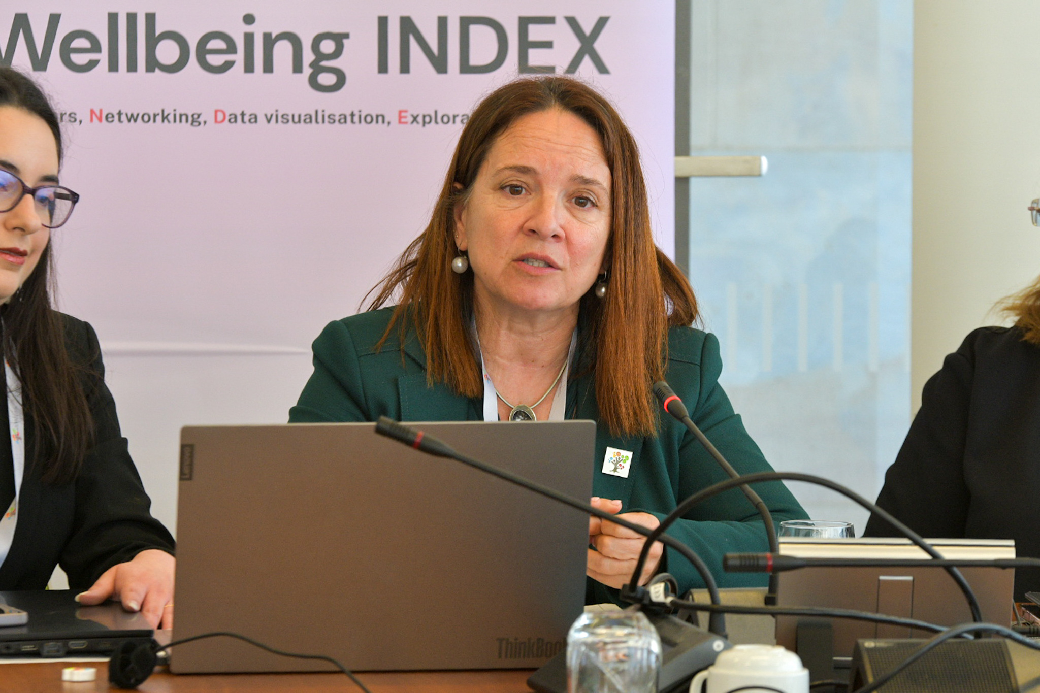 Briguglio outlined seven years of data, with a focus on 2024 (Photo: James Bianchi/MaltaToday)