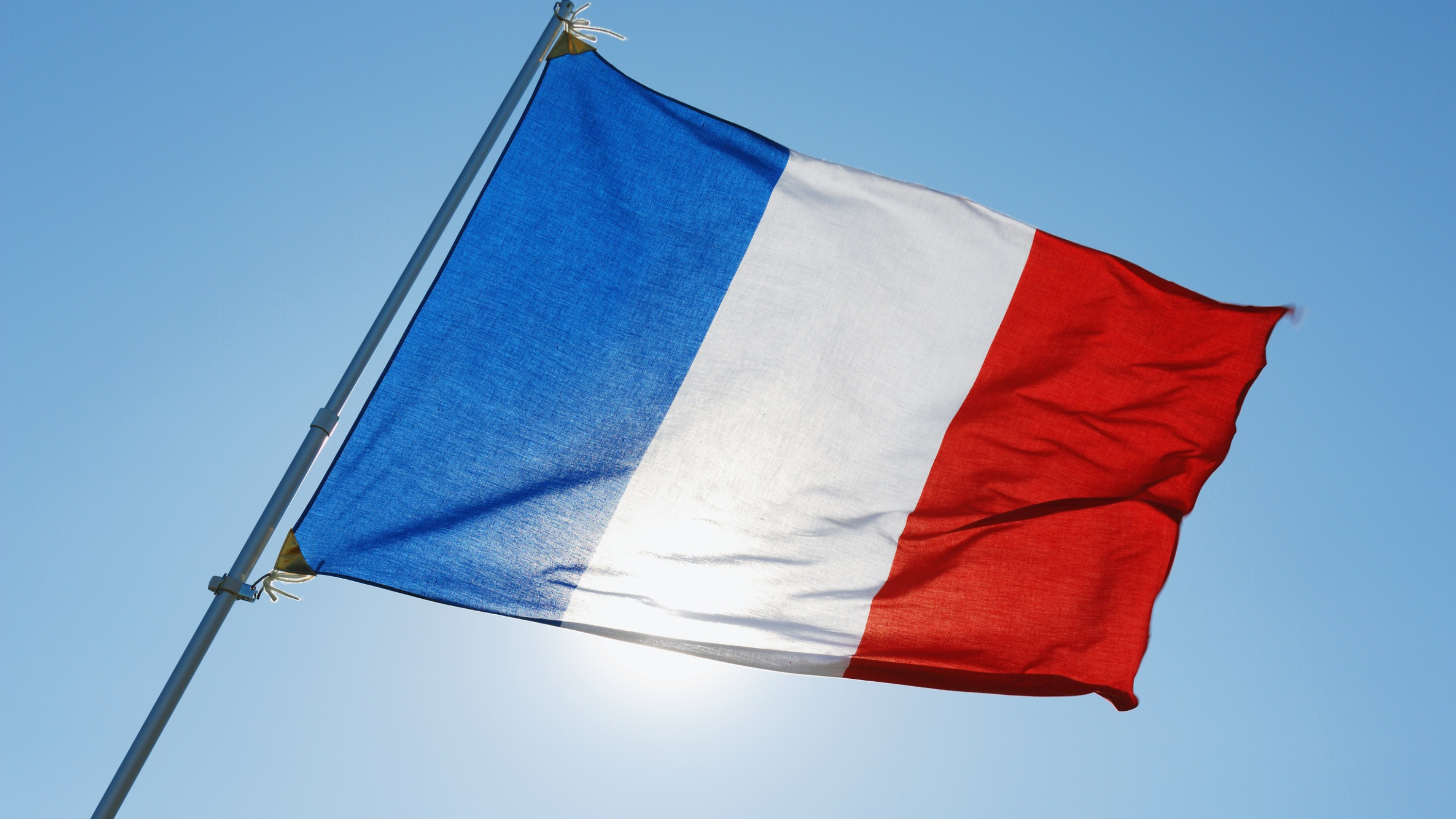 Flag of France (File photo)