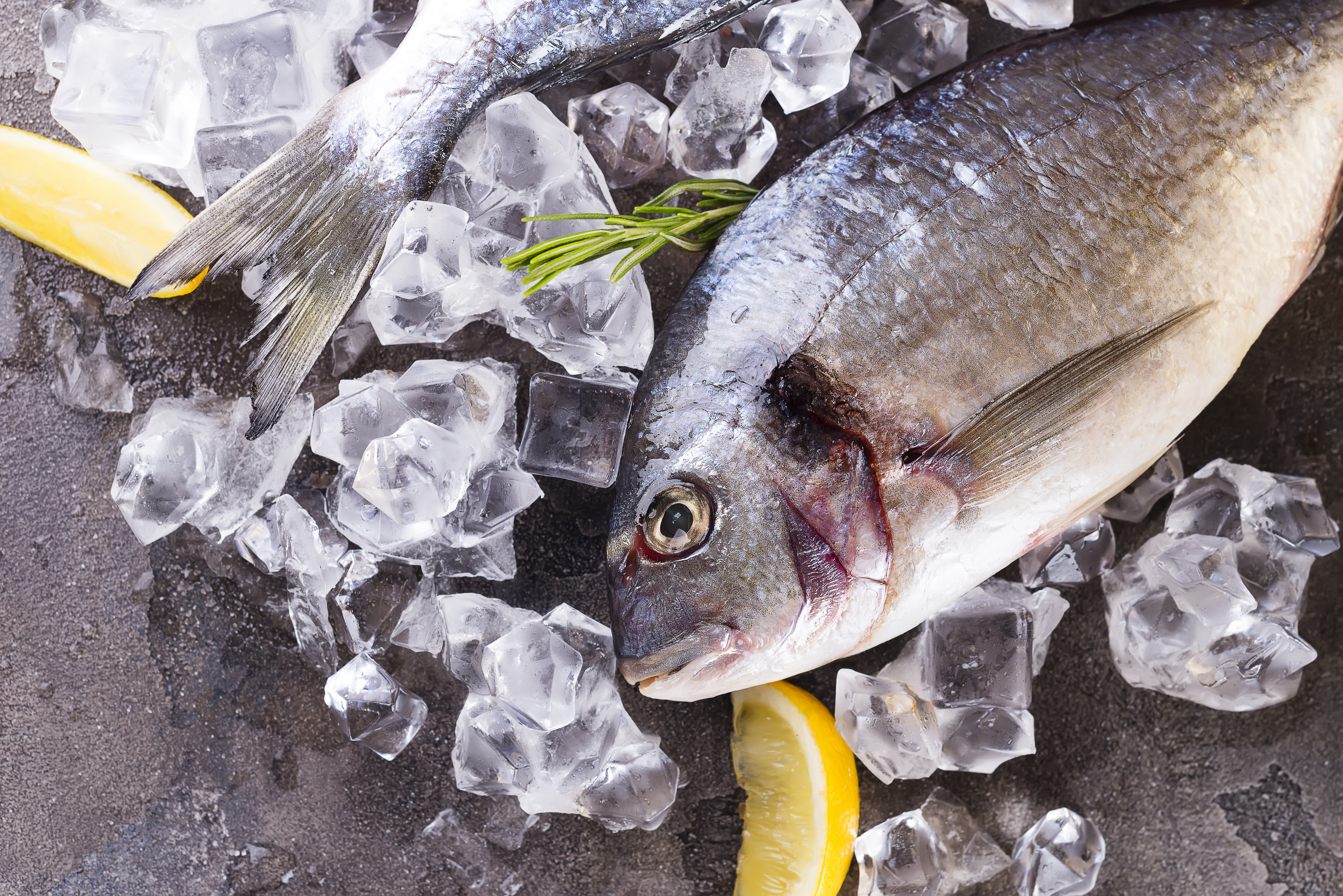 Fish Fridays to take form of school-by-school tasting events, not canteen menu changes