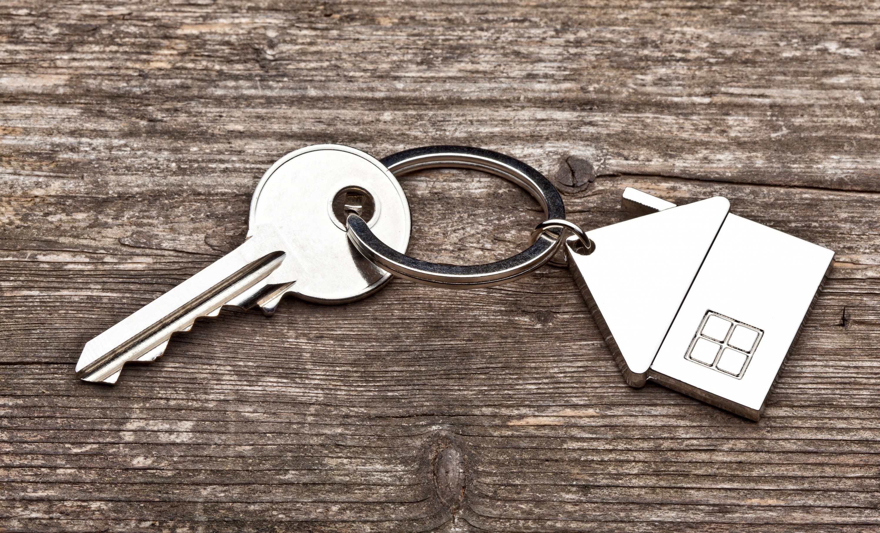 Applications for social housing increased steadily since 2023, data tabled in parliament shows