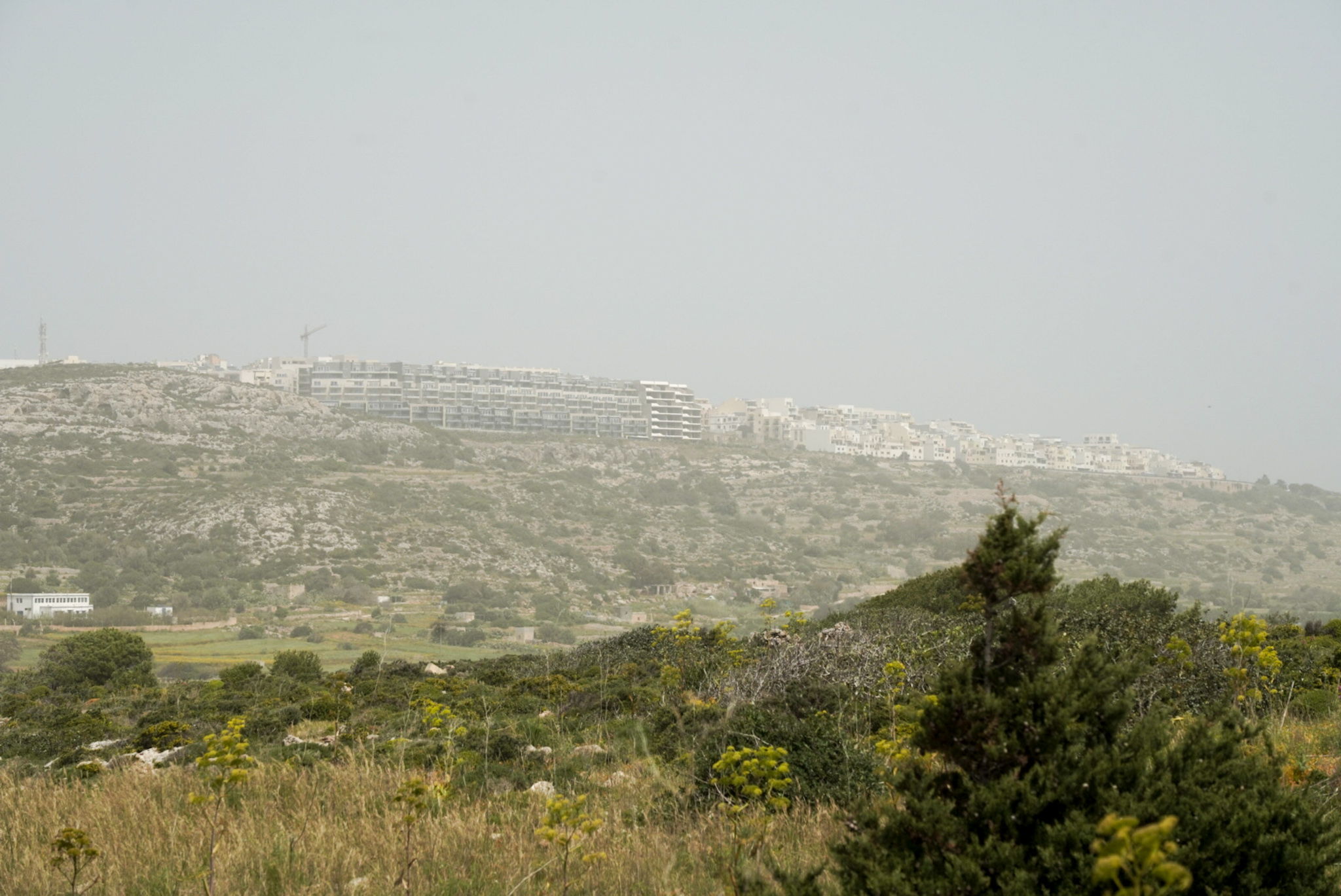 In localities across Malta, such as Msida, St Paul’s Bay, and Attard, PM2.5 readings were reported, while Gharb in Gozo reported a PM10 reading (Photo: James Bianchi/MaltaToday).