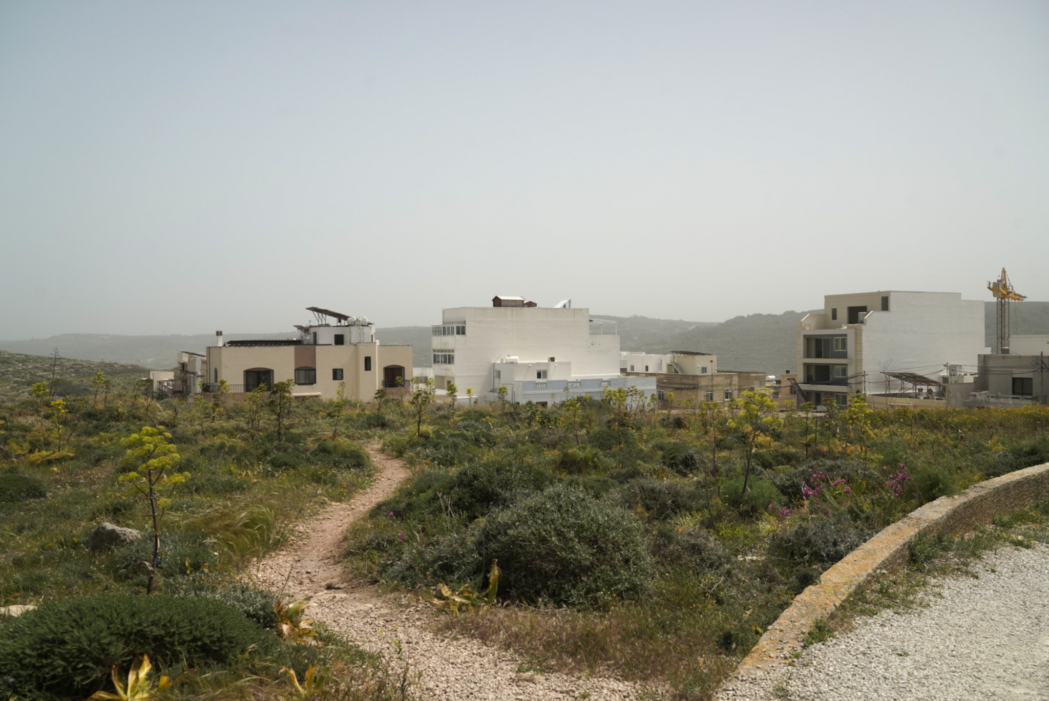 This type of weather can pose public health risks and be especially problematic for those with conditions such as asthma, as PM10 and PM2.5 particles are small enough to enter the respiratory system (Photo: James Bianchi/MaltaToday)