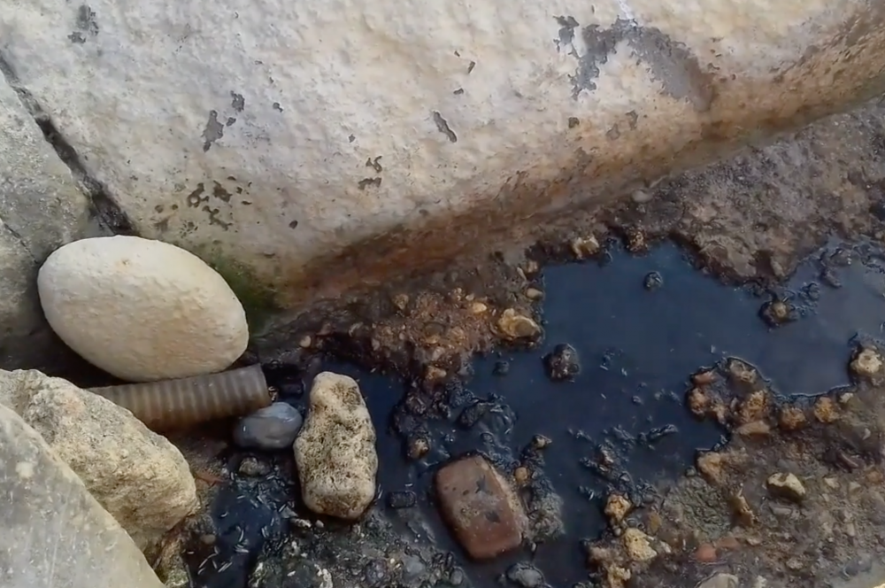 [WATCH] Smelly, maggot-infested liquid pollutes Kalkara rocks and sea