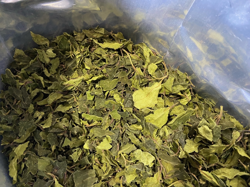 Man charged with importing and trafficking the drug khat after customs check