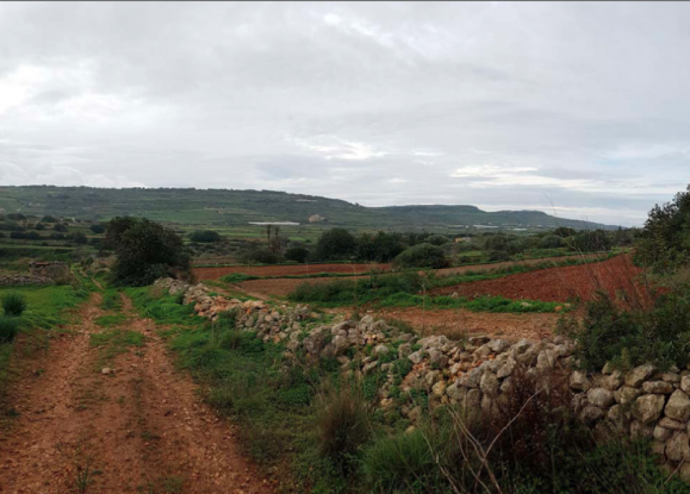 The site includes the buffer zone to the Ghajn Rihana, an Area of Ecological Importance, but the new buildings are not being proposed there