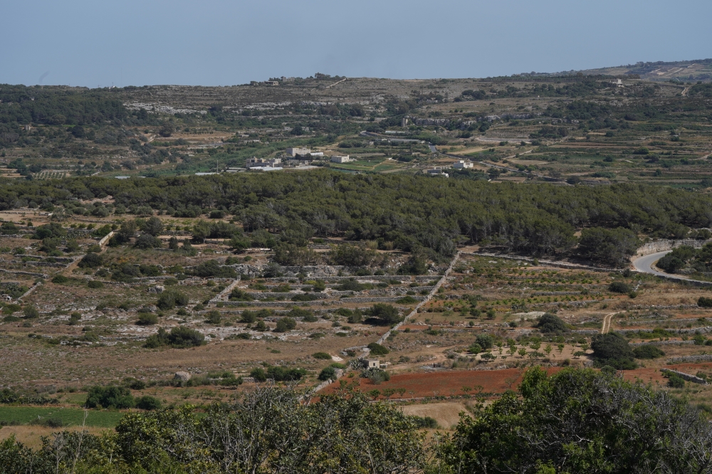 Aħrax and Miżieb should be managed by Ambjent Malta, NGOs coalition says