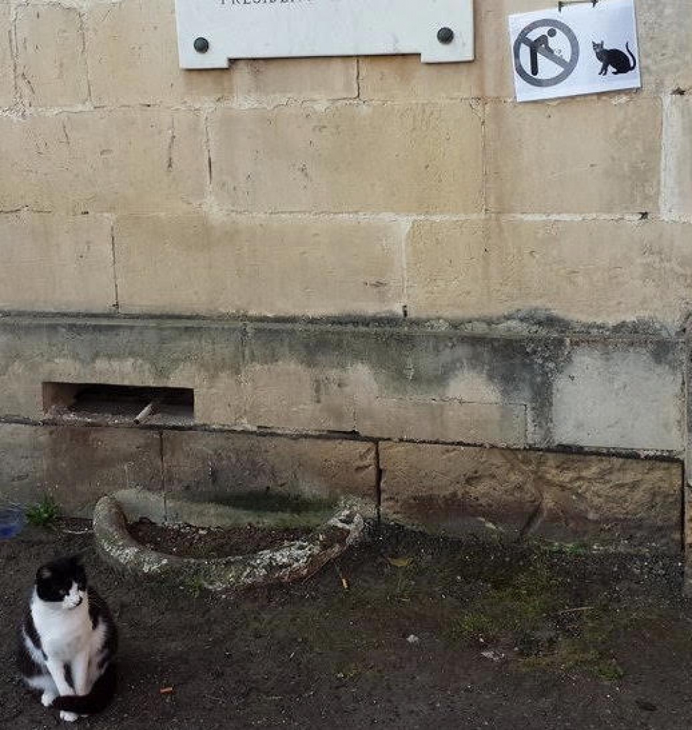 The 'no feed cats' sign that was affixed at SVPR