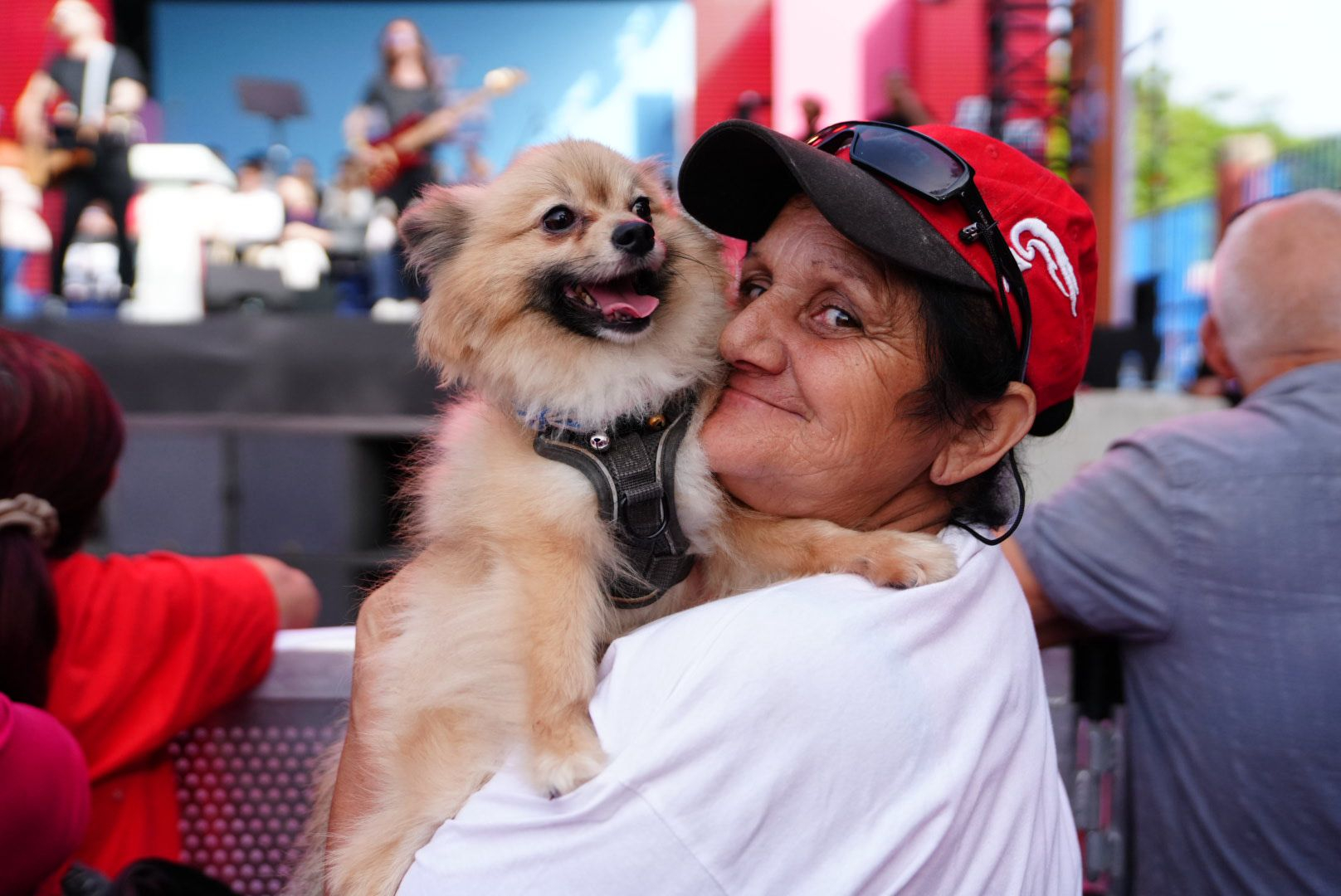 On the front row to hear about pet-friendly measures (Photo: Daniel Tihn/MaltaToday)