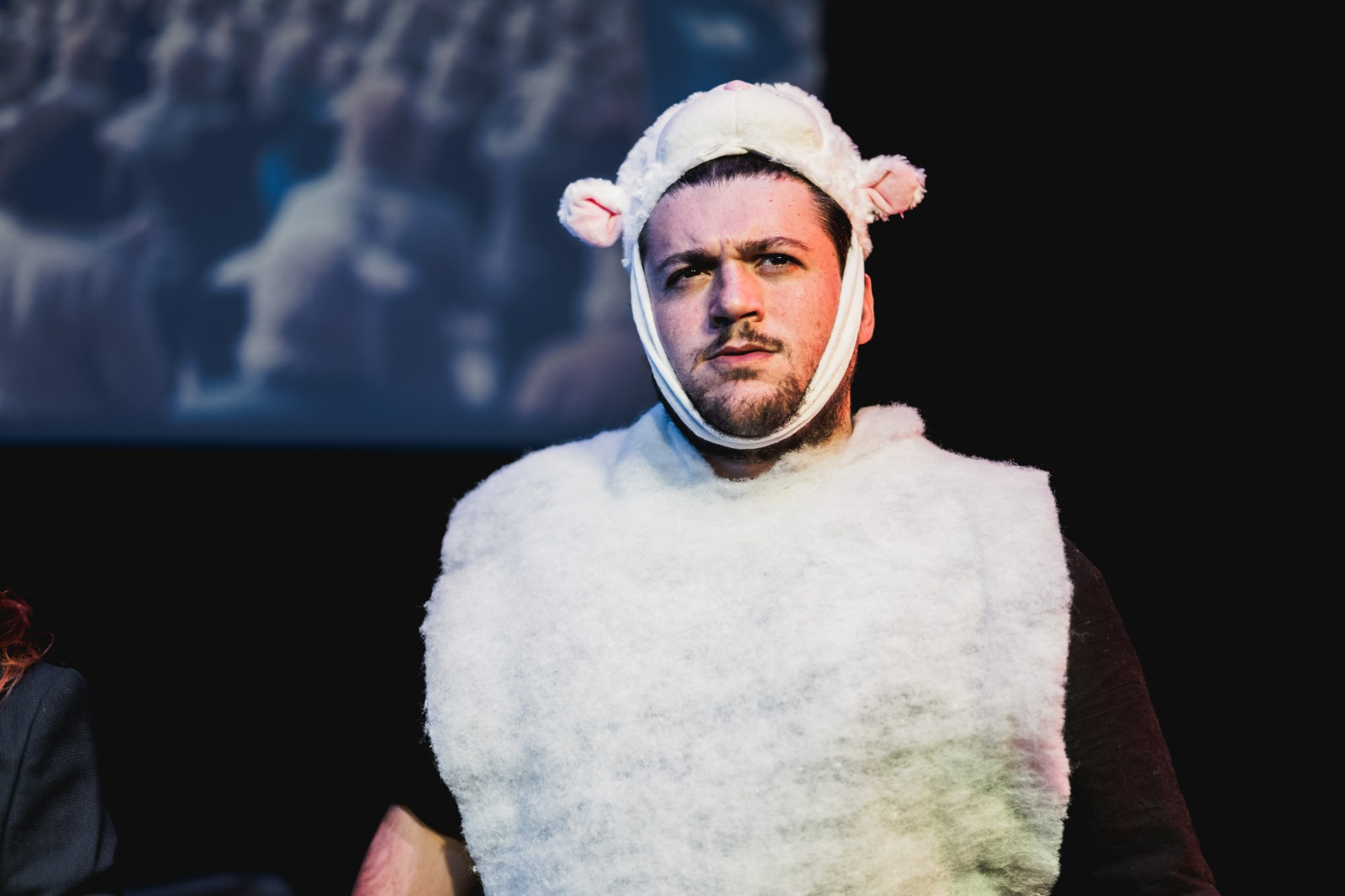 Following the news that Robert Abela plans to give €5,000 per baby, massive depression has been reported within the Gozitan sheep community. (Photo: Albert Camilleri)