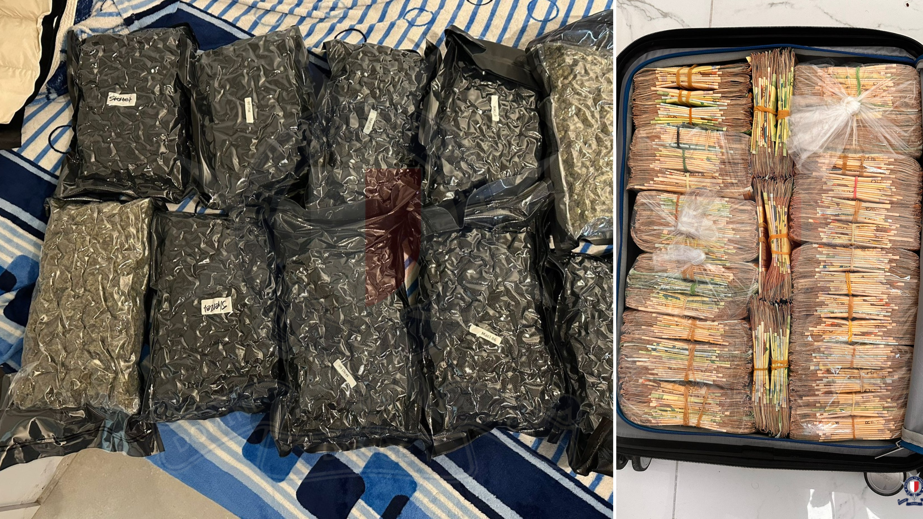 Police smash criminal network, seize drugs and stacks of cash