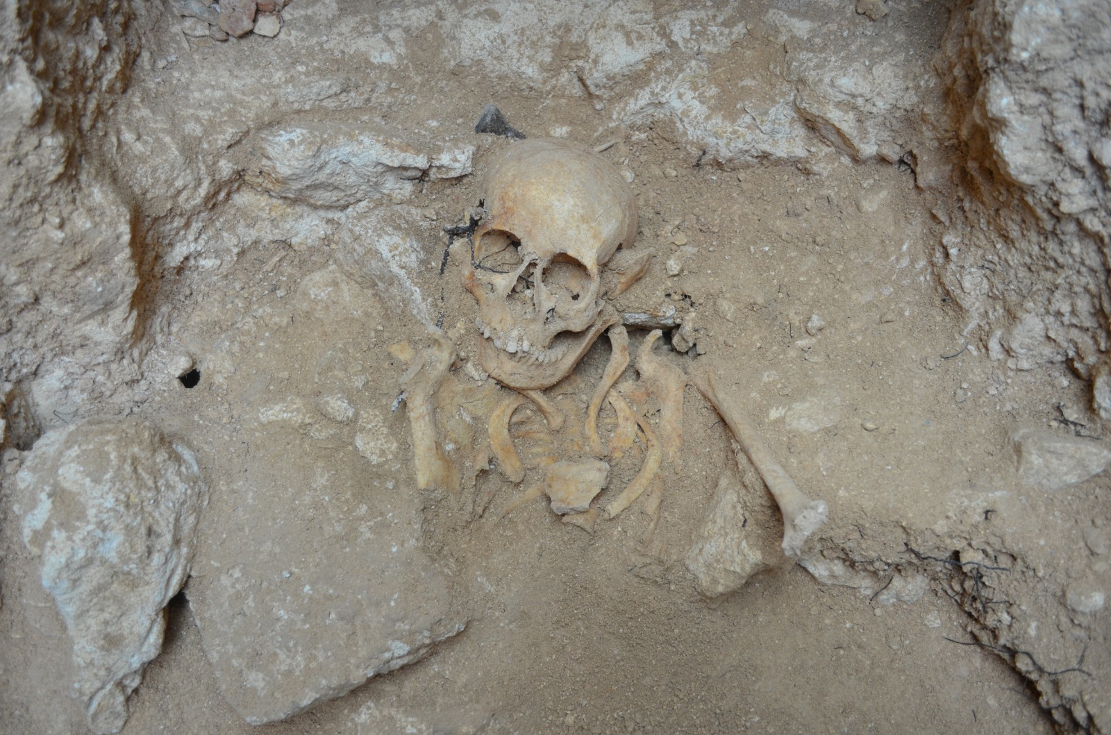 Skeleton 248: Project set to reconstruct woman buried at St Paul's Catacombs 2,000 years ago