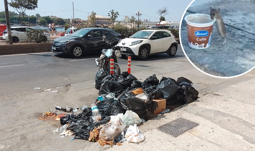 Torn garbage bags piled up on The Strand in Sliema, a scene that has become common in the seaside locality and one that is attracting rats