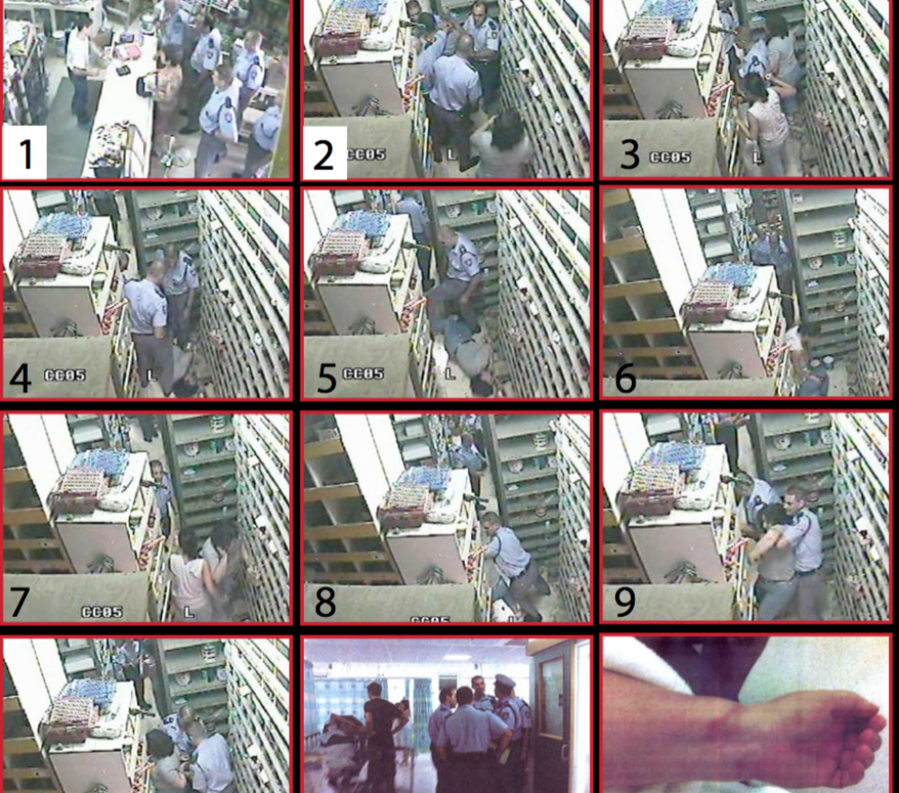 Official could not be blamed for heavy-handed arrest by officers